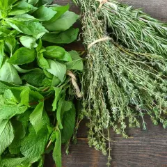 Un bouquet de basilic frais, de menthe et de thym, avec du romarin en arrière-plan. Chaque feuille aromatisée promet des saveurs intenses pour vos plats.