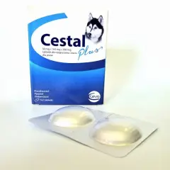 Odrobaczanie psa: Co 3-6 miesięcy? Pełny przewodnik dla właściciela