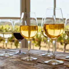 Verre de vin jaune sucré, avec un vignoble en arrière-plan.