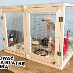 Plac zabaw dla chomika DIY: Bezpieczne pomysły i instrukcje krok po kroku