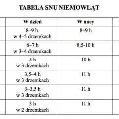 Ile śpi 5-tygodniowe dziecko? Poznaj potrzeby snu niemowląt