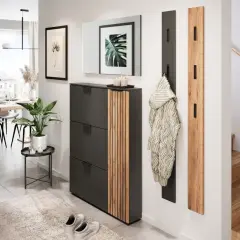 Modernen Flur gestalten: Schuhschrank mit Holzakzenten, Garderobe, Spiegel und Pflanze schaffen ein einladendes Ambiente.