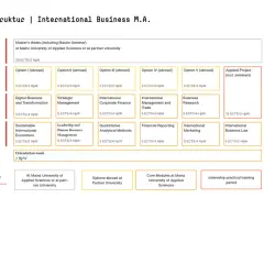 Studienstruktur für den Master International Business: 4 Semester mit Wahlfächern, Auslandsoptionen, Masterarbeit und Praktikum.