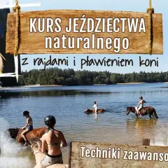 Jeździectwo naturalne kursy - jak wybrać najlepszy program szkoleniowy?