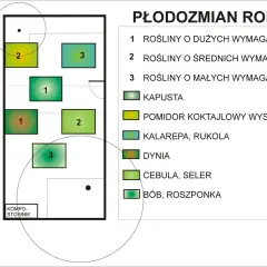 Schemat płodozmianu na rok III: pola z roślinami o dużych (1), średnich (2) i małych (3) wymaganiach, w tym kapusta, pomidor, dynia.