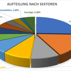 Sektorenaufteilung eines xtrackers MSCI Emerging Markets UCITS ETF 1C: Finanzwesen (25,57%), Industrie (16,81%), Nicht-Basiskonsumgüter (9,06%), Technologie (8,89%), Gesundheitswesen (8,23%).