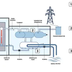 Schemat pokazuje, jak działa elektrownia jądrowa: reakcja w reaktorze wytwarza parę, która napędza turbiny i generator prądu.