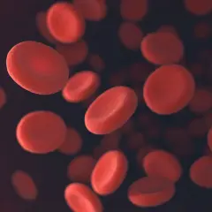 Czerwone krwinki unoszą się w ciemnym tle. Niektóre są wyraźniejsze, inne rozmyte, sugerując zmienność ich wielkości, co może wskazywać na podwyższone rdw-sd i rdw-cv.