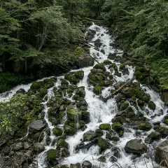 Cascada en los Pirineos, el agua desciende entre rocas cubiertas de musgo, alimentando lagos cristalinos.