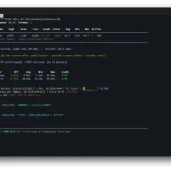 RTSP over TCP transport, high packet loss (94.76%) on SSRC 0x0da38cc8, indicating potential network issues.