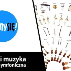 Orkiestra symfoniczna skład: jak wygląda idealna struktura instrumentów