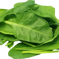 Kupa świeżego, zielonego szpinaku. Czy pies może jeść szpinak? Tak, ale z umiarem.