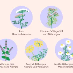 Reizdarm Medikamente: Effektive Lösungen für Ihre Beschwerden finden
