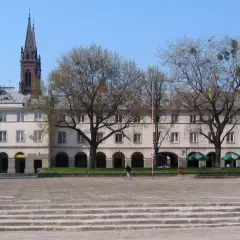 Łódź rynek z kamienicami, drzewami i wieżą kościelną w tle.