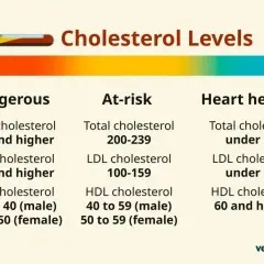 Poziomy cholesterolu: niebezpieczny (240+), zagrożony (200-239), zdrowy dla serca (<200). Unikaj wysokiego cholesterolu.