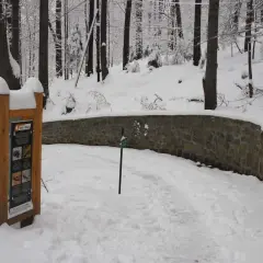 Jak dojechać na Kozią Górę? Szlaki, parkingi, wskazówki dla rodzin