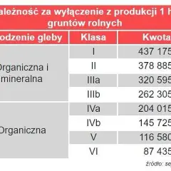 Odrolnienie działki rolnej: Koszty, unikanie opłat i limit 500 m²