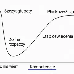 Wykres ilustrujący efekt Dunninga Krugera: od "szczytu głupoty" i "doliny rozpaczy" do "płaskowyżu kompetencji" i "etapu oświecenia".
