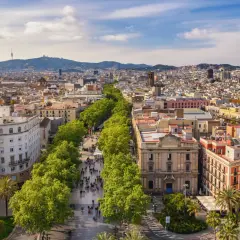 Słoneczna barcelona pogoda listopad. Ludzie spacerują aleją drzew, w tle widać miasto i góry.