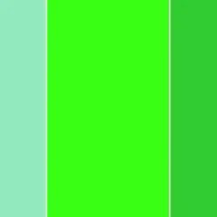 Cinque bande verticali di colori: verde chiaro, menta, verde lime brillante, verde erba e beige. Il verde e giallo che colore esce è vibrante.