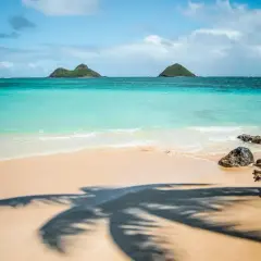 Playa de arena dorada con aguas turquesas y dos islas verdes al fondo. La sombra de una palmera se proyecta en la arena, ideal para pensar en la mejor época para ir a Hawái.