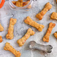 Galletas caseras para perros con forma de hueso, algunas en un frasco de vidrio. ¡Un festín para tu mejor amigo!
