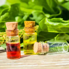 Naturalne olejki i zioła, idealne do inhalacji na kaszel. W tle zielone liście i kwiatostany.