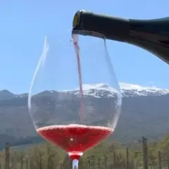 Versando vino rosso in un calice, con l'Etna innevato sullo sfondo. Un sorso di etna wine, un'esperienza unica.