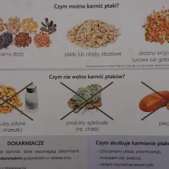 Zdjęcie przedstawia różne rodzaje ziaren, płatków i warzyw, a także zakazane produkty: solone orzeszki, spleśniały chleb i pieczywo.
