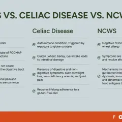 Porównanie IBS, celiakii i NCWS. Celiakia objawy: choroba autoimmunologiczna wywołana glutenem, prowadząca do uszkodzenia jelit i wymagająca diety bezglutenowej.