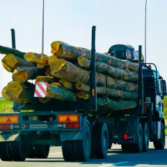 Ciężarówka z drewnem na przyczepie, widoczne tablice gabarytowe.