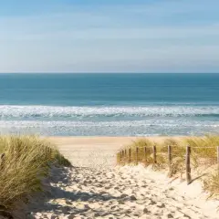 Sendero de arena entre dunas y hierba que lleva a la playa en la costa atlántica francesa. El mar azul se extiende hasta el horizonte.