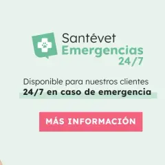 Veterinario urgencias cerca de mí: atención inmediata para tu mascota