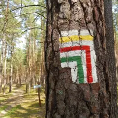 Jak powstają szlaki górskie w Polsce? Od pomysłu po znakowanie PTTK