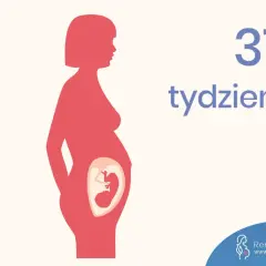 Sylwetka kobiety w ciąży, widoczny płód w brzuchu. Napis "31 tydzień".