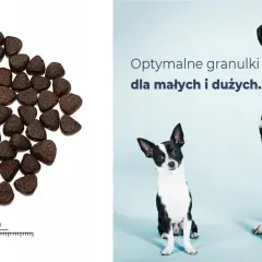 Granulki karmy z jelenia dla psa, idealne dla małych i dużych pupili.