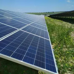 Elektrownia słoneczna Gubin: Od 1. farmy do 17 MWp. Zagłębie OZE?