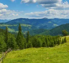 Atrakcje w Istebnej, które zaskoczą każdego turystę i rodzinę