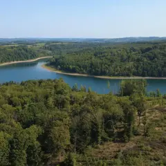Ein idyllischer Blick auf die Wiehltalsperre mit ihren umliegenden Wäldern. Perfekt für Wanderwege und Naturgenuss.