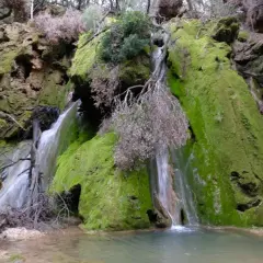 Cascada cubierta de musgo verde vibrante, con agua cayendo sobre rocas y formando un pequeño estanque. Es salt des freu, un rincón natural.