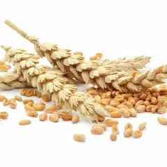 Czy w mące orkiszowej jest gluten? Dowiedz się, co musisz wiedzieć