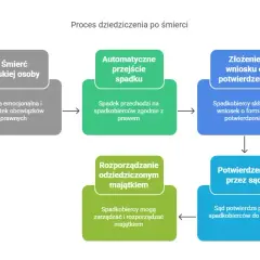 Po otwarciu testamentu: Krok po kroku do spadku i formalności