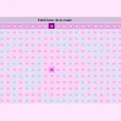 Tabla para saber el sexo del bebé cuando se sabe el sexo del bebé. M es Niña, H es Niño.