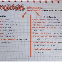Rozszerzony artykuł angielski: lista zawodów i czynności z tłumaczeniem. Jobs: cashier, engineer, farmer, lawyer, nurse, plumber, scientist, sports centre manager. Job activities: build bridges, do experiments, fix leaks, give change to customers, give...