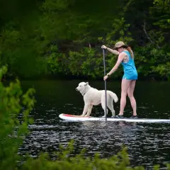 Une femme et son chien profitent d'une activité insolite : du paddle sur un lac entouré de verdure.