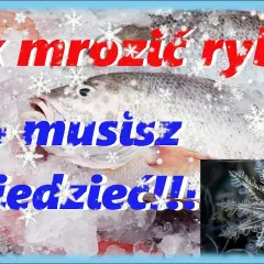 Jak długo mrozić ryby? Ekspert radzi, by smakowały jak świeże