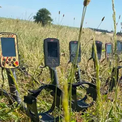 Najlepsze wykrywacze metali: Porównanie 5 topowych modeli 2025