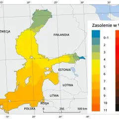 Mapa Bałtyku z kolorami wskazującymi zasolenie wody w promilach.