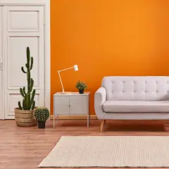 Ein helles Wohnzimmer mit einer leuchtend orangen Wand, einem grauen Sofa, Kakteen und einem Holzboden. Die raum farben schaffen eine warme Atmosphäre.