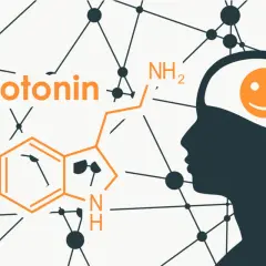 La serotonina, l'ormone della felicità, rappresentata con la sua formula chimica e un cervello sorridente.